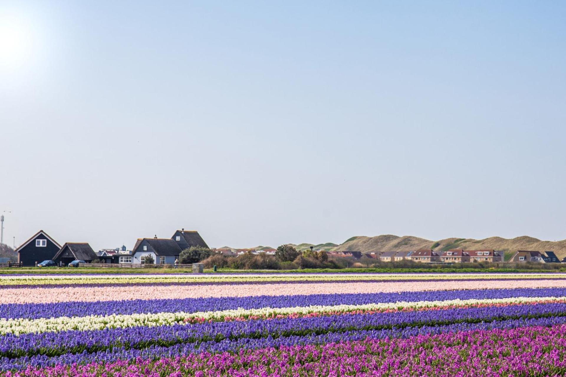 Beach Appartement 14 - Aan De Duinen, Callantsoog Aan Zee Eksteriør billede