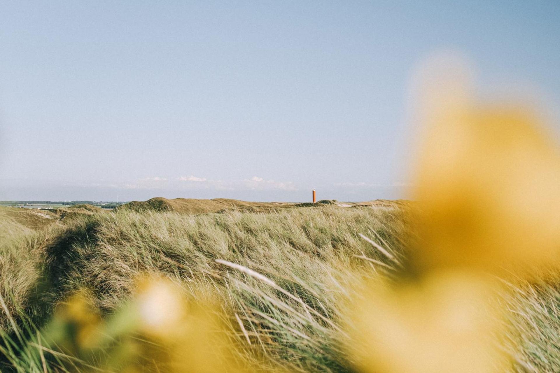 Beach Appartement 14 - Aan De Duinen, Callantsoog Aan Zee Eksteriør billede
